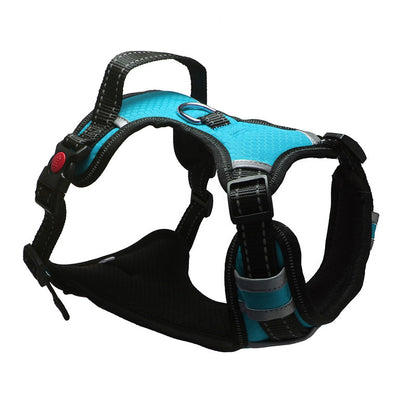 Pet Harness.