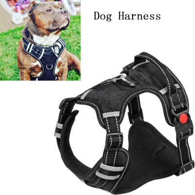 Pet Harness.