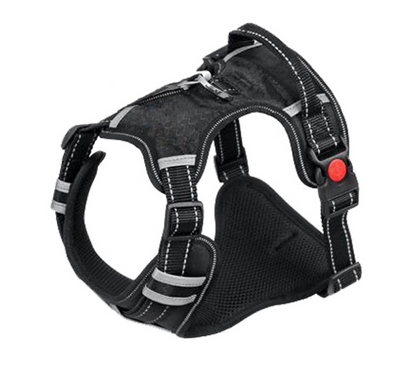 Pet Harness.