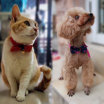 pet bow for dog/cat